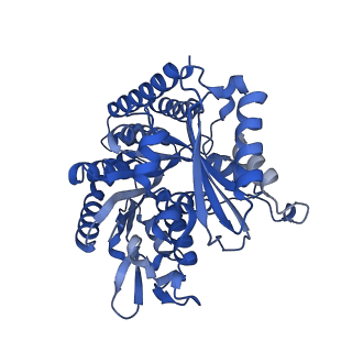 7101_6bjc_F_v1-3
TPX2_mini decorated GMPCPP-microtubule