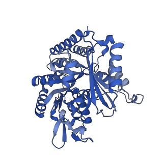 7101_6bjc_G_v1-3
TPX2_mini decorated GMPCPP-microtubule