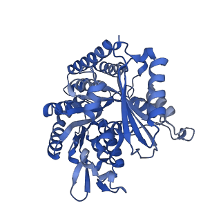 7101_6bjc_G_v1-4
TPX2_mini decorated GMPCPP-microtubule