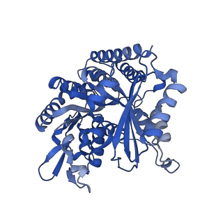 7101_6bjc_H_v1-4
TPX2_mini decorated GMPCPP-microtubule