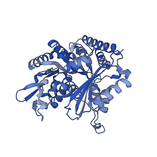 7101_6bjc_I_v1-4
TPX2_mini decorated GMPCPP-microtubule