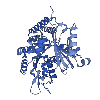 7101_6bjc_J_v1-4
TPX2_mini decorated GMPCPP-microtubule