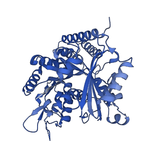 7101_6bjc_K_v1-3
TPX2_mini decorated GMPCPP-microtubule