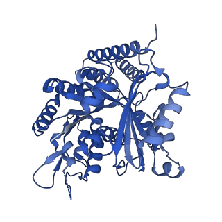 7101_6bjc_K_v1-4
TPX2_mini decorated GMPCPP-microtubule