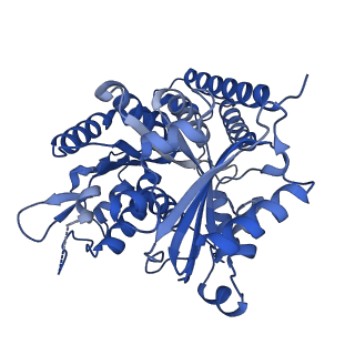 7101_6bjc_L_v1-4
TPX2_mini decorated GMPCPP-microtubule