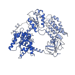 11937_7bkq_A_v1-1
CryoEM structure of MDA5-dsRNA filament in complex with ADP with 92-degree helical twist