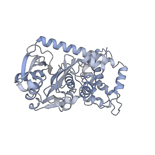 12206_7bkb_E_v1-0
Formate dehydrogenase - heterodisulfide reductase - formylmethanofuran dehydrogenase complex from Methanospirillum hungatei (hexameric, composite structure)