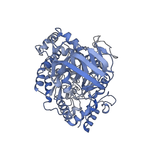 12206_7bkb_G_v1-0
Formate dehydrogenase - heterodisulfide reductase - formylmethanofuran dehydrogenase complex from Methanospirillum hungatei (hexameric, composite structure)