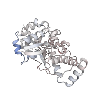 12206_7bkb_b_v1-0
Formate dehydrogenase - heterodisulfide reductase - formylmethanofuran dehydrogenase complex from Methanospirillum hungatei (hexameric, composite structure)