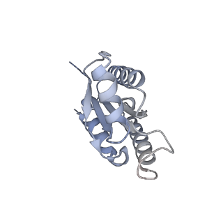 12206_7bkb_f_v1-0
Formate dehydrogenase - heterodisulfide reductase - formylmethanofuran dehydrogenase complex from Methanospirillum hungatei (hexameric, composite structure)