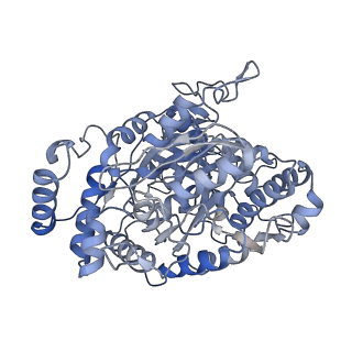 12206_7bkb_g_v1-0
Formate dehydrogenase - heterodisulfide reductase - formylmethanofuran dehydrogenase complex from Methanospirillum hungatei (hexameric, composite structure)