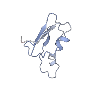12206_7bkb_l_v1-0
Formate dehydrogenase - heterodisulfide reductase - formylmethanofuran dehydrogenase complex from Methanospirillum hungatei (hexameric, composite structure)
