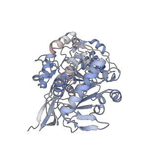 12209_7bkc_D_v1-0
Formate dehydrogenase - heterodisulfide reductase - formylmethanofuran dehydrogenase complex from Methanospirillum hungatei (dimeric, composite structure)