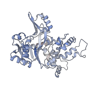 12209_7bkc_E_v1-0
Formate dehydrogenase - heterodisulfide reductase - formylmethanofuran dehydrogenase complex from Methanospirillum hungatei (dimeric, composite structure)
