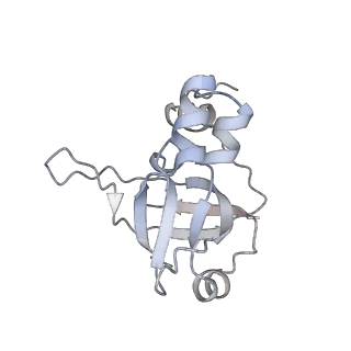12209_7bkc_J_v1-0
Formate dehydrogenase - heterodisulfide reductase - formylmethanofuran dehydrogenase complex from Methanospirillum hungatei (dimeric, composite structure)