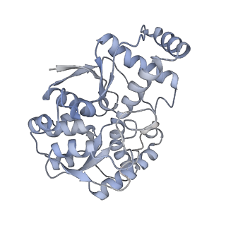 12209_7bkc_b_v1-0
Formate dehydrogenase - heterodisulfide reductase - formylmethanofuran dehydrogenase complex from Methanospirillum hungatei (dimeric, composite structure)
