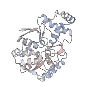 12210_7bkd_B_v1-0
Formate dehydrogenase - heterodisulfide reductase - formylmethanofuran dehydrogenase complex from Methanospirillum hungatei (heterodislfide reductase core and mobile arm in conformational state 1, composite structure)