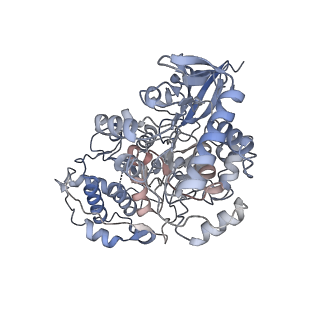 12210_7bkd_D_v1-0
Formate dehydrogenase - heterodisulfide reductase - formylmethanofuran dehydrogenase complex from Methanospirillum hungatei (heterodislfide reductase core and mobile arm in conformational state 1, composite structure)