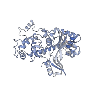 12210_7bkd_E_v1-0
Formate dehydrogenase - heterodisulfide reductase - formylmethanofuran dehydrogenase complex from Methanospirillum hungatei (heterodislfide reductase core and mobile arm in conformational state 1, composite structure)
