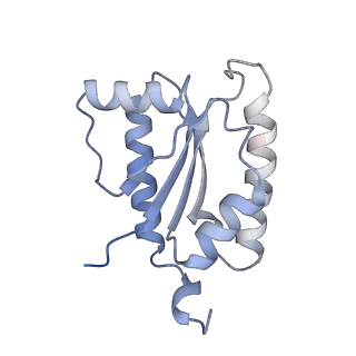 12210_7bkd_F_v1-0
Formate dehydrogenase - heterodisulfide reductase - formylmethanofuran dehydrogenase complex from Methanospirillum hungatei (heterodislfide reductase core and mobile arm in conformational state 1, composite structure)