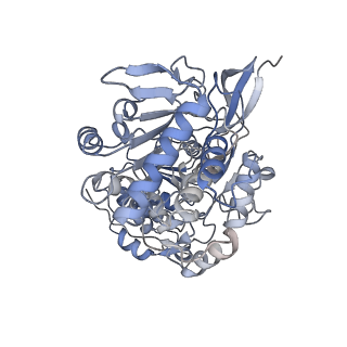 12212_7bke_D_v1-0
Formate dehydrogenase - heterodisulfide reductase - formylmethanofuran dehydrogenase complex from Methanospirillum hungatei (heterodisulfide reductase core and mobile arm in conformational state 2, composite structure)
