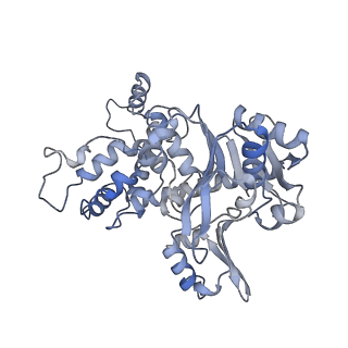 12212_7bke_E_v1-0
Formate dehydrogenase - heterodisulfide reductase - formylmethanofuran dehydrogenase complex from Methanospirillum hungatei (heterodisulfide reductase core and mobile arm in conformational state 2, composite structure)