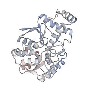 12212_7bke_b_v1-0
Formate dehydrogenase - heterodisulfide reductase - formylmethanofuran dehydrogenase complex from Methanospirillum hungatei (heterodisulfide reductase core and mobile arm in conformational state 2, composite structure)