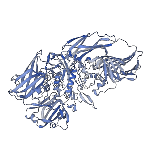16091_8bk7_C_v1-2
Cryo-EM structure of beta-galactosidase at 3.3 A resolution plunged 5 ms after mixing with apoferritin