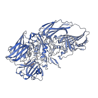 16092_8bk8_C_v1-2
Cryo-EM structure of beta-galactosidase at 2.9 A resolution plunged 205 ms after mixing with apoferritin