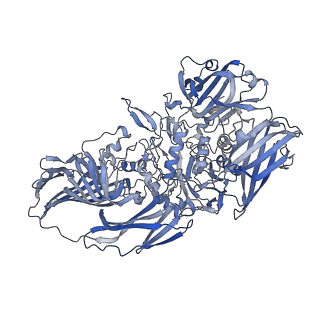 16092_8bk8_D_v1-2
Cryo-EM structure of beta-galactosidase at 2.9 A resolution plunged 205 ms after mixing with apoferritin