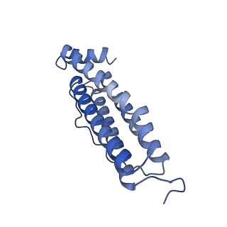 16094_8bka_L_v1-2
Cryo-EM structure of mouse heavy-chain apoferritin at 2.7 A plunged 35ms after mixing with b-galactosidase