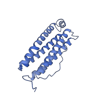 16094_8bka_Q_v1-2
Cryo-EM structure of mouse heavy-chain apoferritin at 2.7 A plunged 35ms after mixing with b-galactosidase