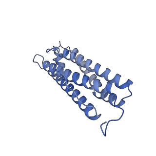 16094_8bka_R_v1-2
Cryo-EM structure of mouse heavy-chain apoferritin at 2.7 A plunged 35ms after mixing with b-galactosidase