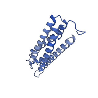 16094_8bka_S_v1-2
Cryo-EM structure of mouse heavy-chain apoferritin at 2.7 A plunged 35ms after mixing with b-galactosidase