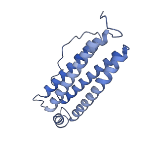 16094_8bka_W_v1-2
Cryo-EM structure of mouse heavy-chain apoferritin at 2.7 A plunged 35ms after mixing with b-galactosidase