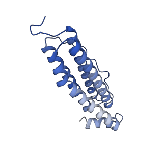 16094_8bka_Y_v1-2
Cryo-EM structure of mouse heavy-chain apoferritin at 2.7 A plunged 35ms after mixing with b-galactosidase