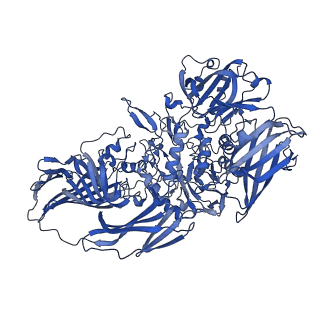 16097_8bkg_C_v1-2
Cryo-EM structure of beta-galactosidase at 3.2 A resolution plunged 35 ms after mixing with apoferritin