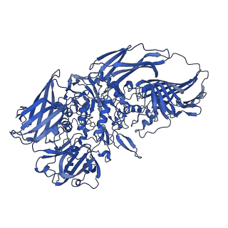 16097_8bkg_D_v1-2
Cryo-EM structure of beta-galactosidase at 3.2 A resolution plunged 35 ms after mixing with apoferritin