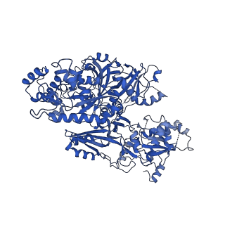 7109_6bk8_B_v1-3
S. cerevisiae spliceosomal post-catalytic P complex