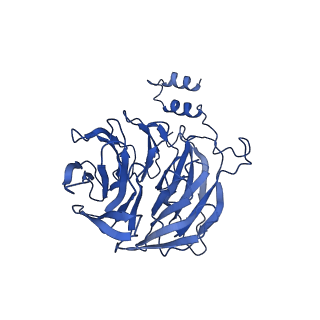7109_6bk8_D_v1-3
S. cerevisiae spliceosomal post-catalytic P complex