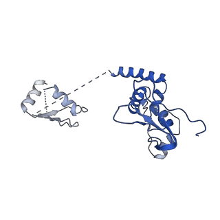 7109_6bk8_F_v1-3
S. cerevisiae spliceosomal post-catalytic P complex