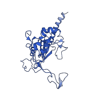 7109_6bk8_G_v1-3
S. cerevisiae spliceosomal post-catalytic P complex
