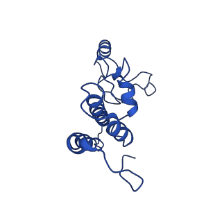 7109_6bk8_I_v1-3
S. cerevisiae spliceosomal post-catalytic P complex