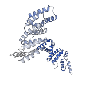 7109_6bk8_L_v1-3
S. cerevisiae spliceosomal post-catalytic P complex