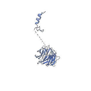 7109_6bk8_M_v1-3
S. cerevisiae spliceosomal post-catalytic P complex