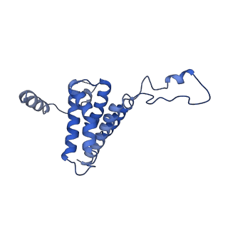 7109_6bk8_N_v1-3
S. cerevisiae spliceosomal post-catalytic P complex