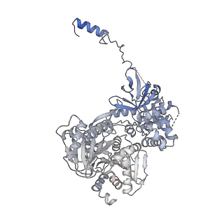 7109_6bk8_P_v1-3
S. cerevisiae spliceosomal post-catalytic P complex