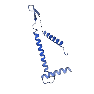 7109_6bk8_R_v1-3
S. cerevisiae spliceosomal post-catalytic P complex