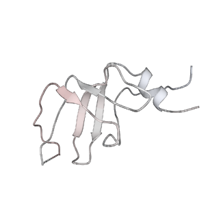 7109_6bk8_p_v1-3
S. cerevisiae spliceosomal post-catalytic P complex