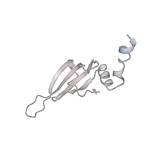 7109_6bk8_q_v1-3
S. cerevisiae spliceosomal post-catalytic P complex